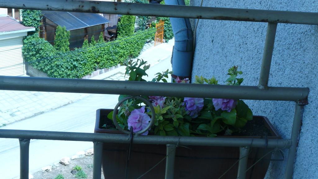 Geto Apartment Belogradchik Esterno foto